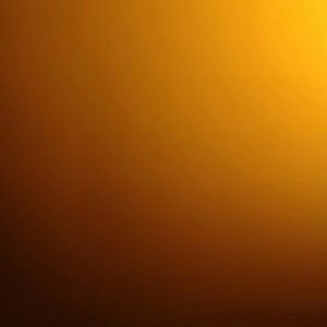 Meet your Posher, Ali