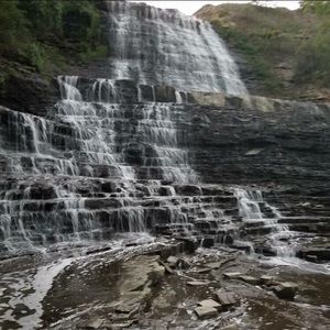 Meet your Posher, Abby