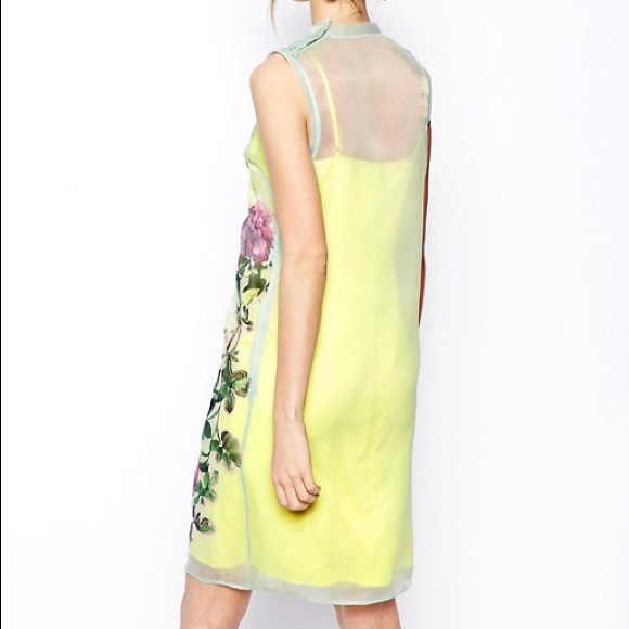 ❌SOLD❌NWT ASOSSalon dress floral appliqué - Picture 3 of 5
