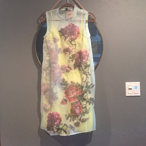 ❌SOLD❌NWT ASOSSalon dress floral appliqué - Picture 4 of 5