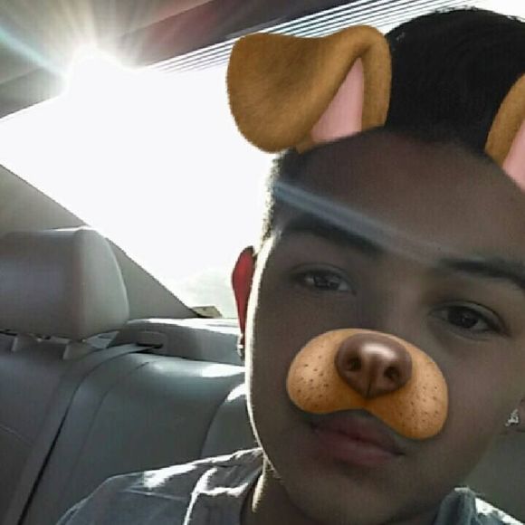 Meet your Posher, Joey - Picture 1 of 1