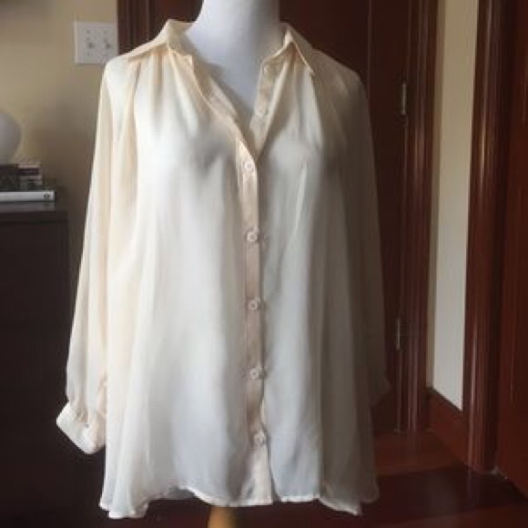 Sheer Longsleeve Button Down Top