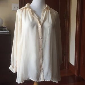 Sheer Longsleeve Button Down Top