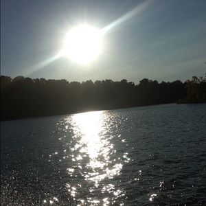 Meet your Posher, Abbie