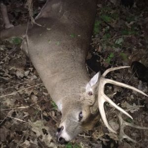 Meet your Posher, Alaina