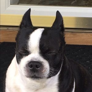 Meet your Posher, Jackie