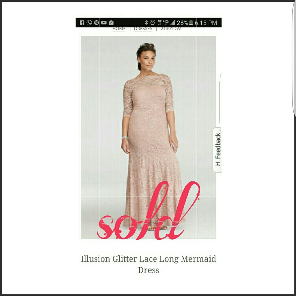 Illusion Glitter Lace Long Mermaid Dress