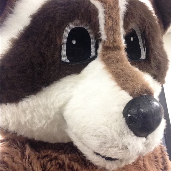 Meet your Posher, Luis - Picture 1 of 1