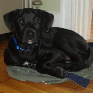 Meet your Posher, Barbara