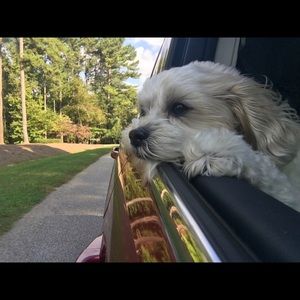 Meet your Posher, Teresa