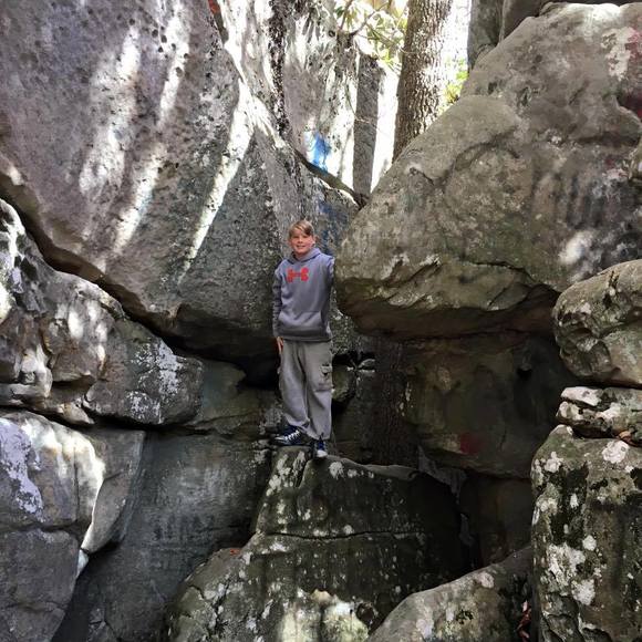 Meet your Posher, Cameron - Picture 1 of 1