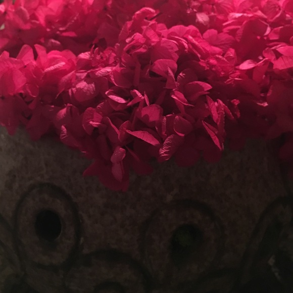 Meet your Posher, Dana - Picture 1 of 1