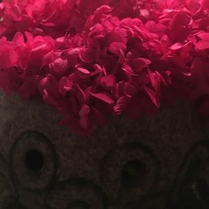 Meet your Posher, Dana