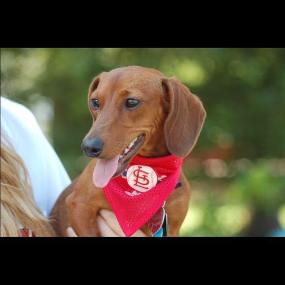 ‼️SOLD - Picture 4 of 4