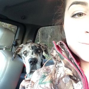 Meet your Posher, Reagan