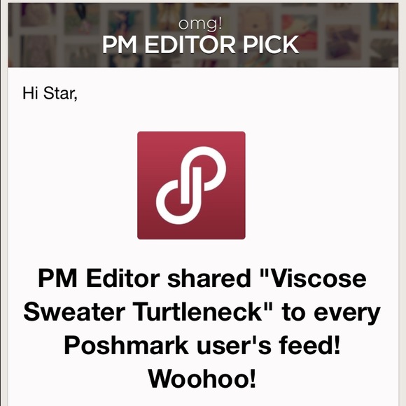 🌟Host Pick🌟 Viscose Sweater Turtleneck - Picture 4 of 4