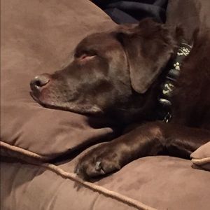 Meet your Posher, Linda