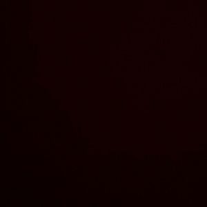 Meet your Posher, Damien