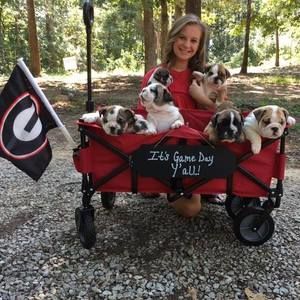 Meet your Posher, Krista