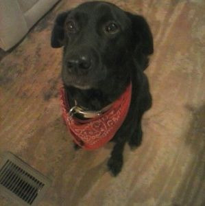 Meet your Posher, Briana