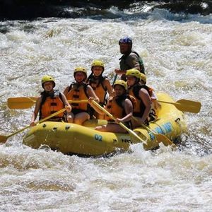 Meet your Posher, Trina