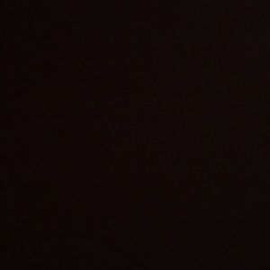 Meet your Posher, Amaleah