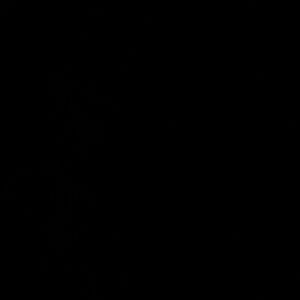 Meet your Posher, Dante