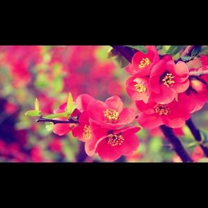 Meet your Posher, Tania