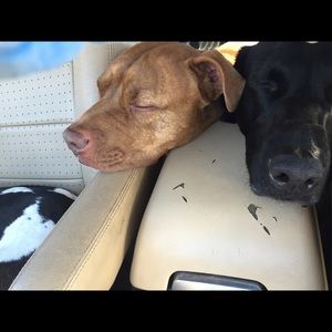 Meet your Posher, Karen