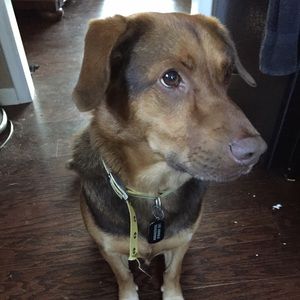 Meet your Posher, Lee