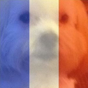 Meet your Posher, Frances