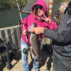 Meet your Posher, Dawn