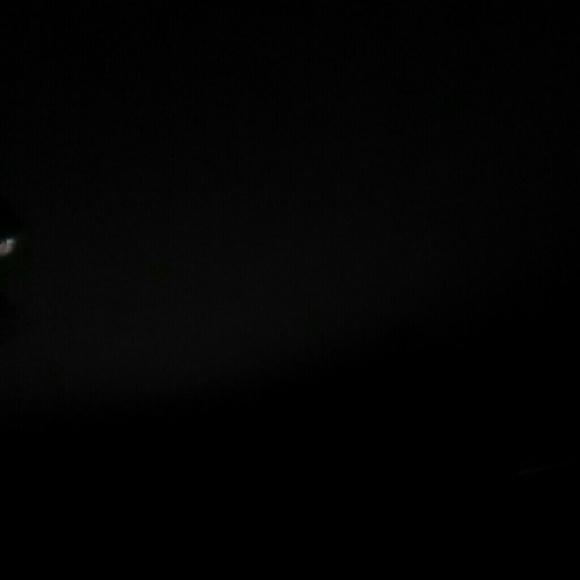 Meet your Posher, Samantha - Picture 1 of 1