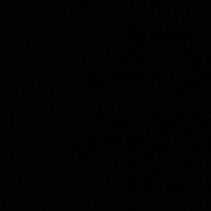 Meet your Posher, Kiara