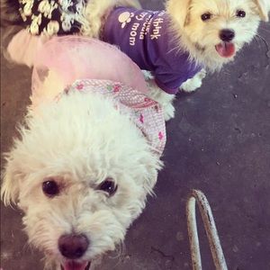 Meet your Posher, Darlene