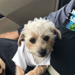 Meet your Posher, Eloisa