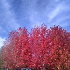 Meet your Posher, Ruby