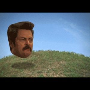 Meet your Posher, Jake