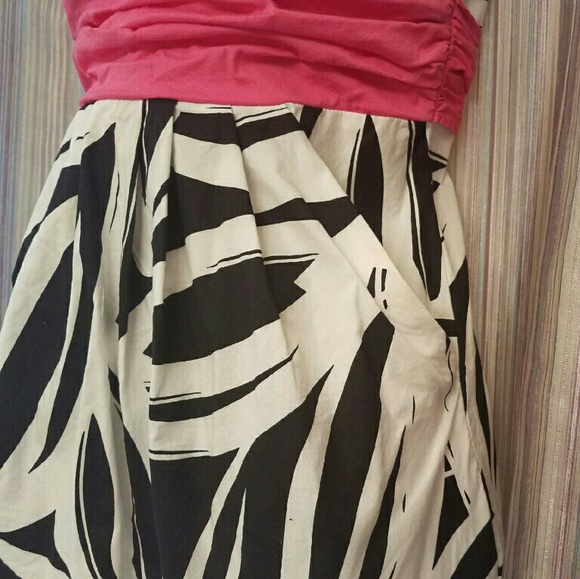 🎀Zebra Print Mini - Picture 3 of 4