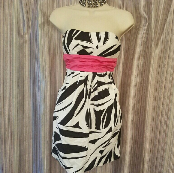 🎀Zebra Print Mini - Picture 4 of 4