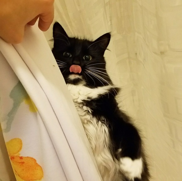 Meet your Posher, Gabby - Picture 2 of 2