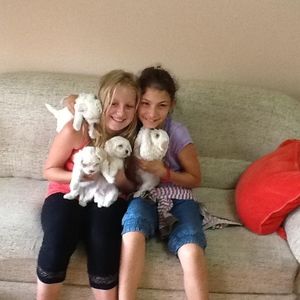 Meet your Posher, Jelenanikolina