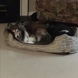 Meet your Posher, Kristi