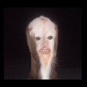 Meet your Posher, Bailey