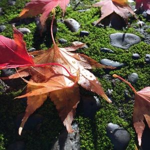 Meet your Posher, Mia