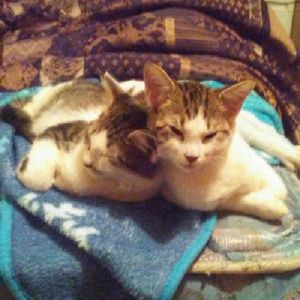 Meet your Posher, Kelsey