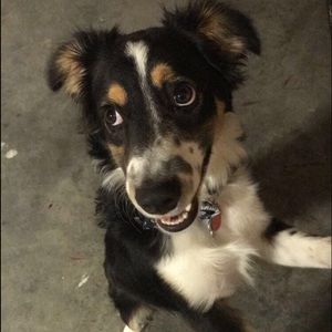 Meet your Posher, Abby