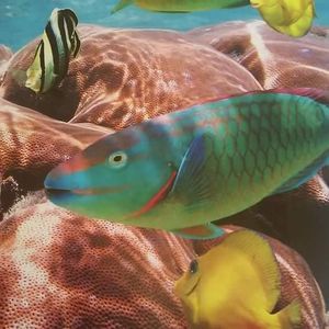 Meet your Posher, Santiago