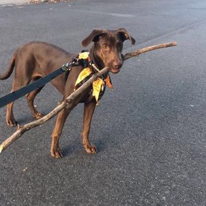 Meet your Posher, Jess