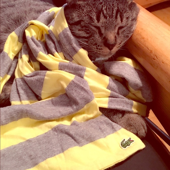 LACOSTE SCARF